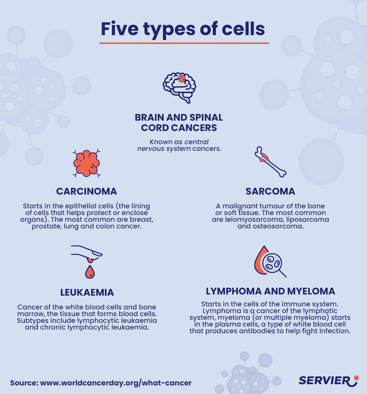 Five types of cells